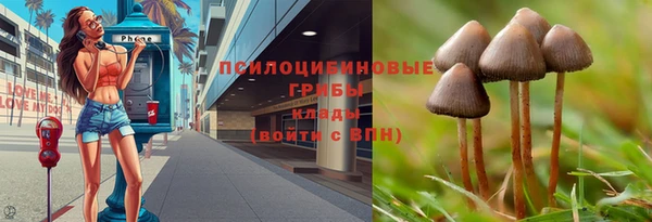 молекула духа Покровск