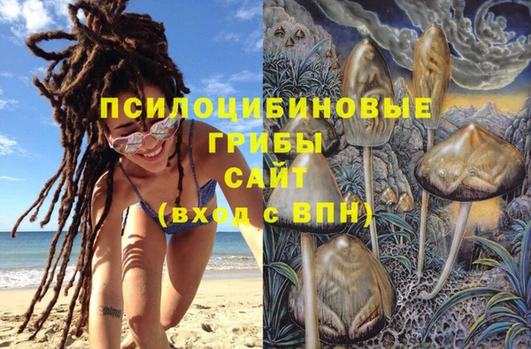 амф Абинск
