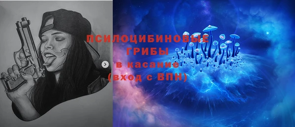 амф Абинск