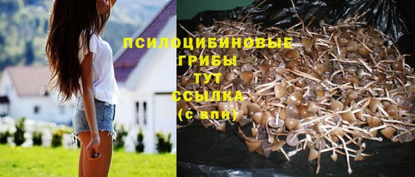 амф Абинск