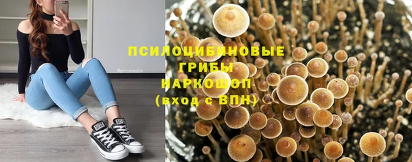 экстази Абаза