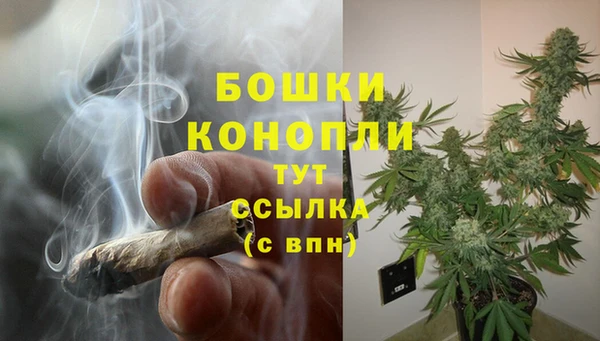 молекула духа Покровск
