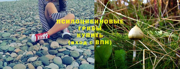 амф Абинск